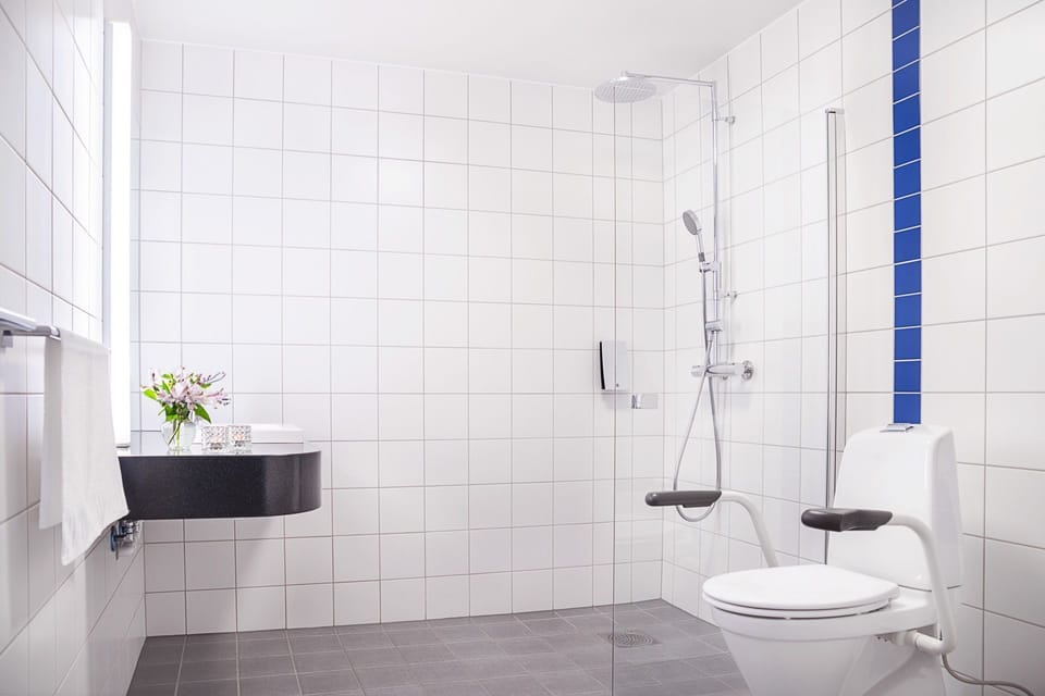 Shower, free toiletries, hair dryer, towels