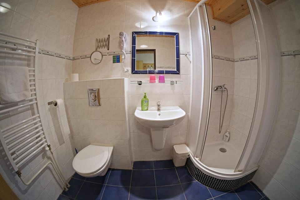 Shower, free toiletries, hair dryer, towels