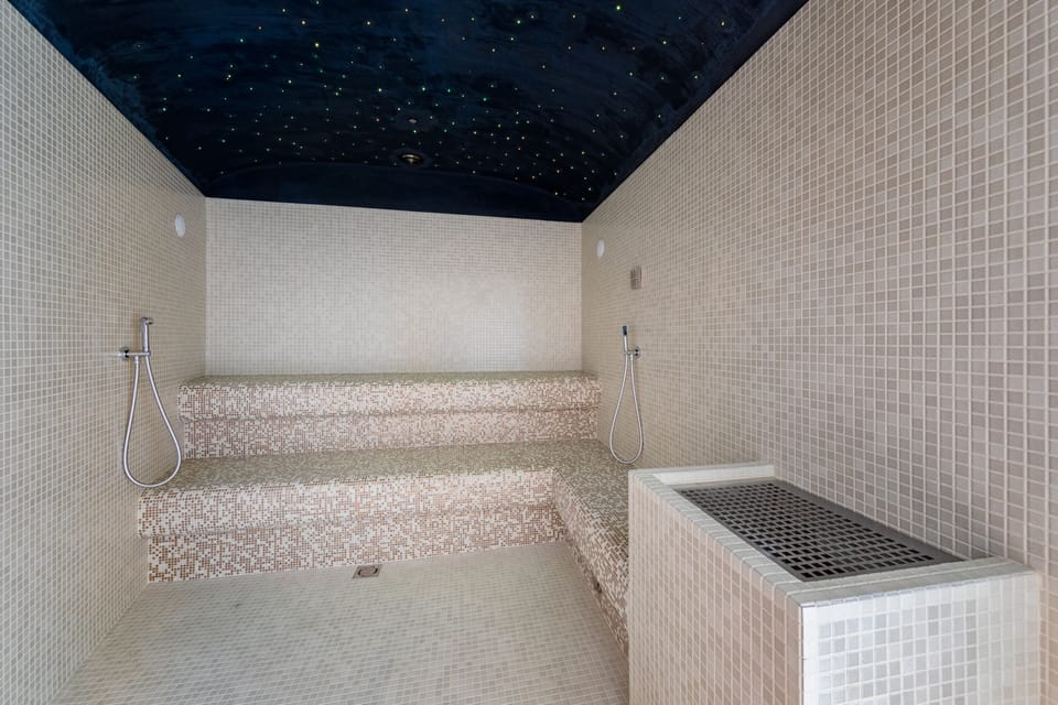 Sauna, hot tub, steam room
