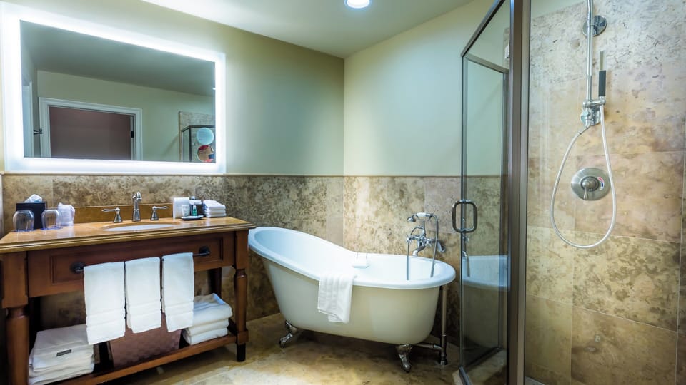 Separate tub and shower, deep soaking tub, rainfall showerhead