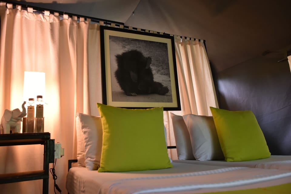 Tent on All Inclusive | 1 bedroom