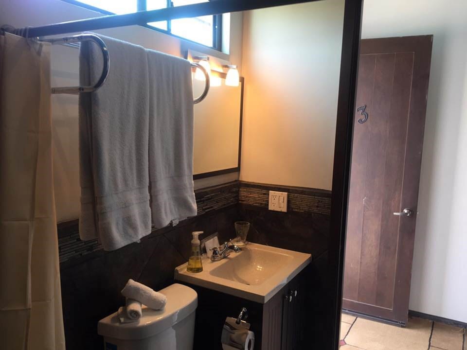 Deluxe Room | Bathroom | Shower, free toiletries, hair dryer, towels