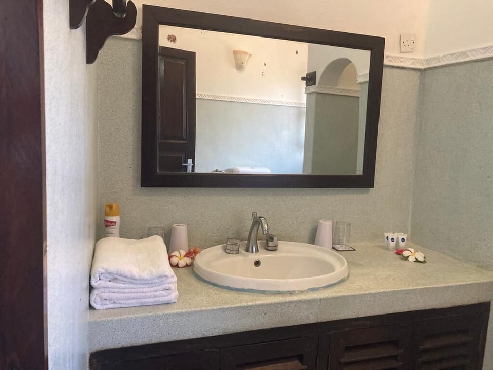 Deluxe Suite | Bathroom | Shower, free toiletries, towels, soap