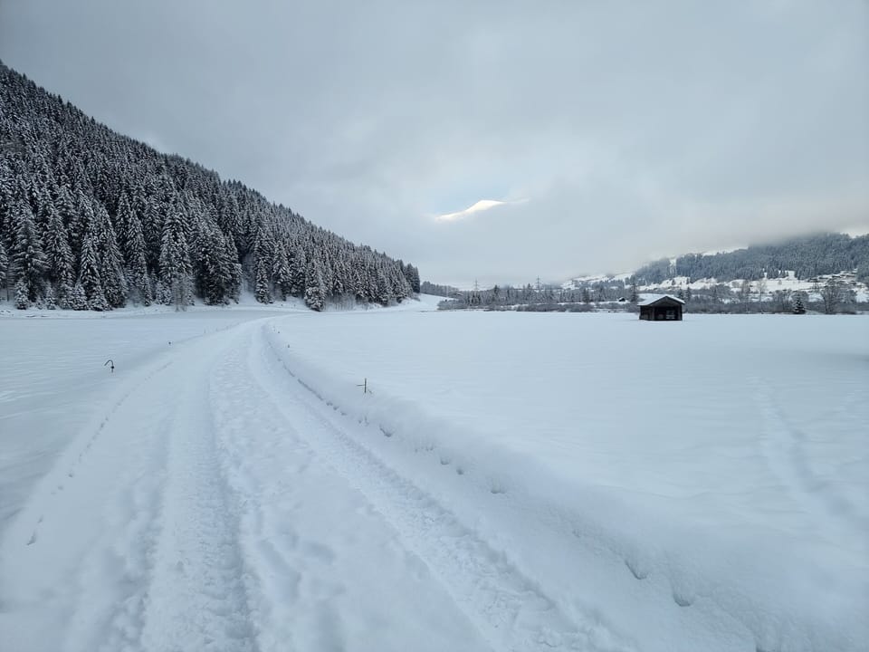 Land view from property
