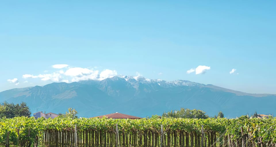 Winery