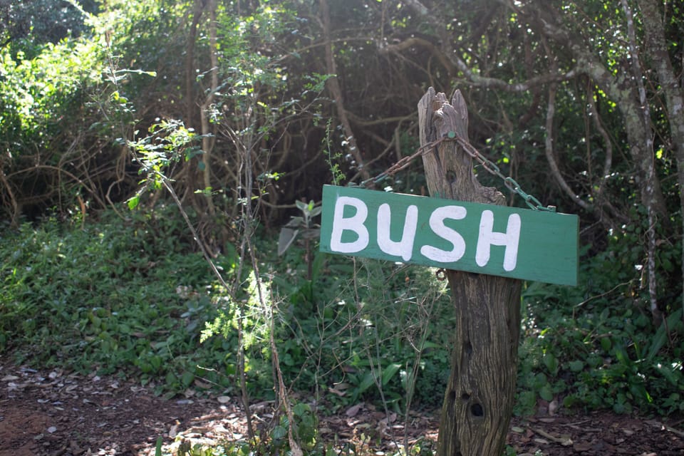 Bush Cottage | Iron/ironing board (on request), bed sheets