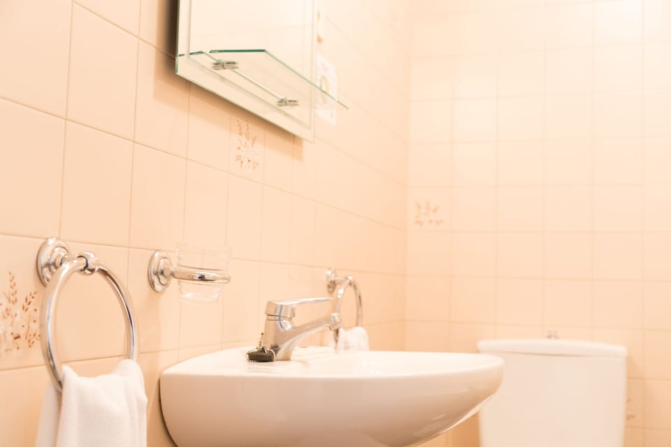 Double Room (with extra bed) | Bathroom | Free toiletries, towels