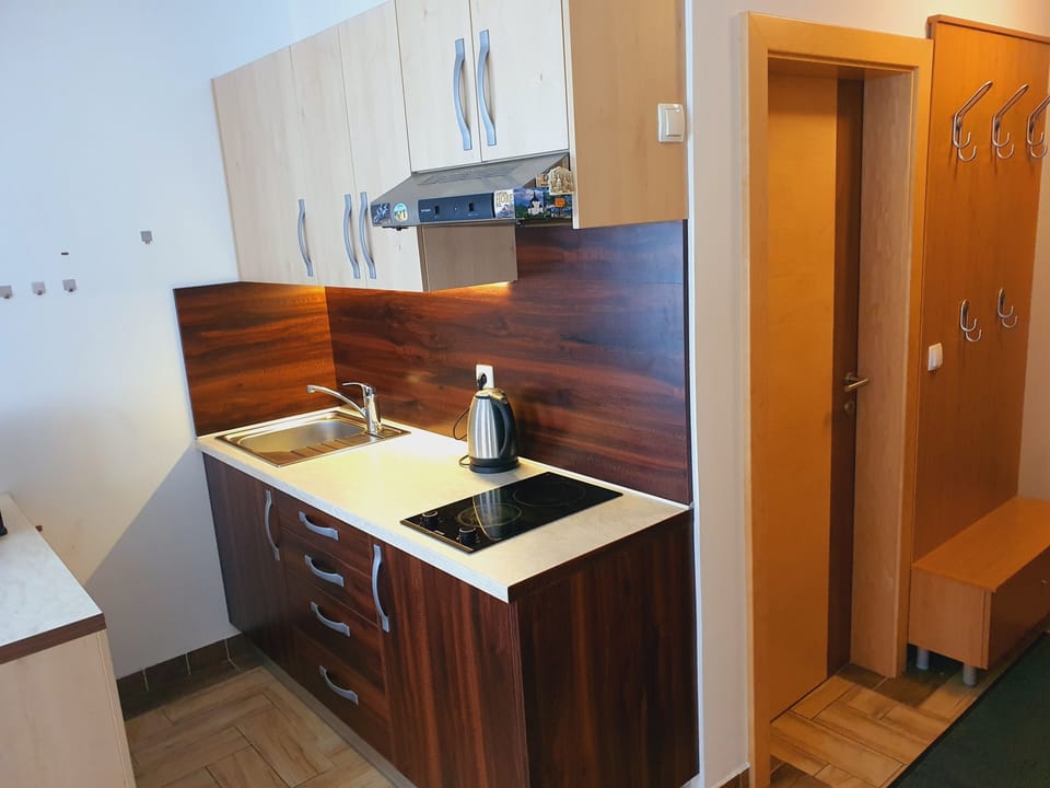 Basic Apartment, 1 Bedroom | Private kitchen | Fridge