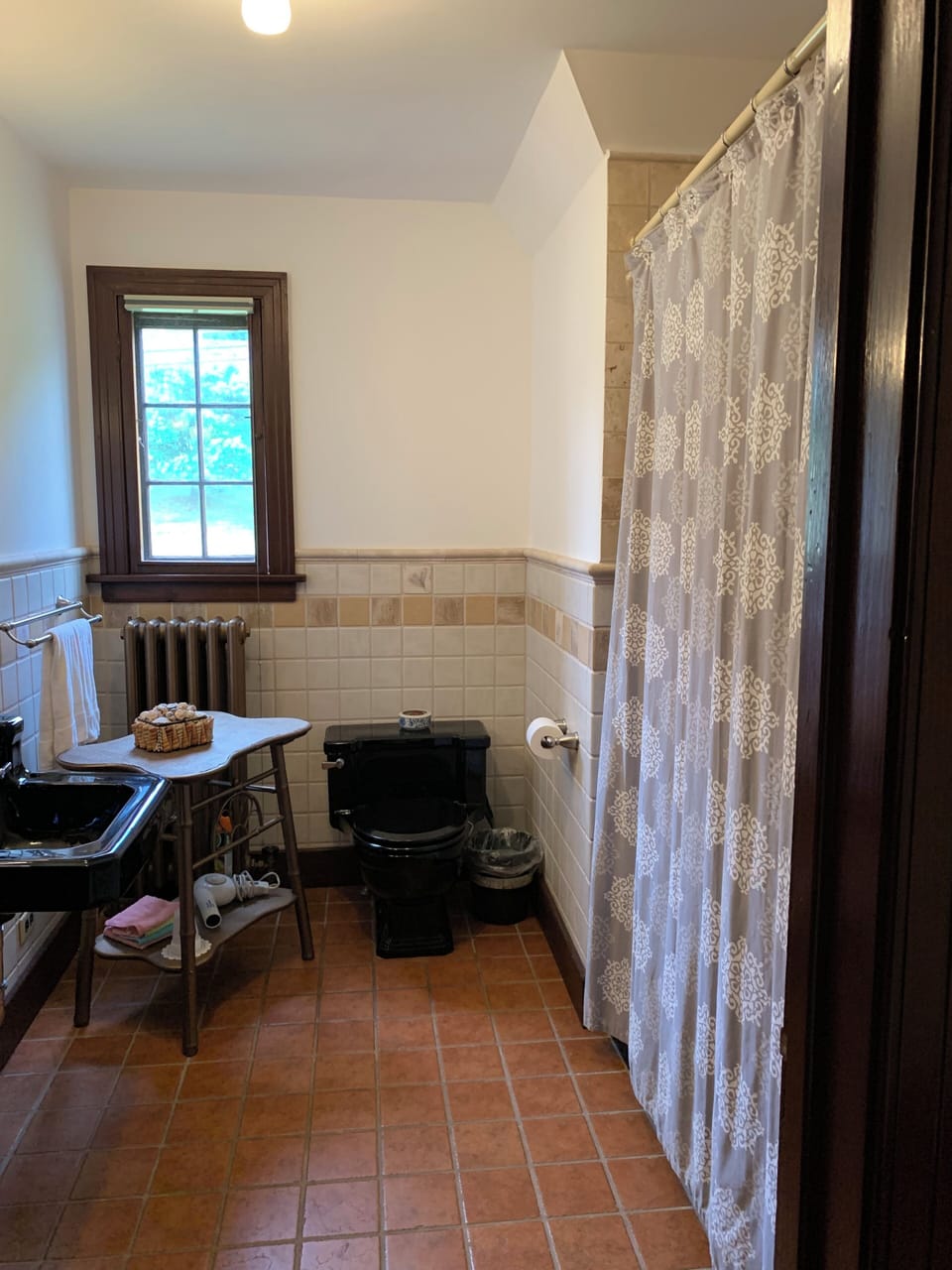 Combined shower/tub, free toiletries, hair dryer, towels