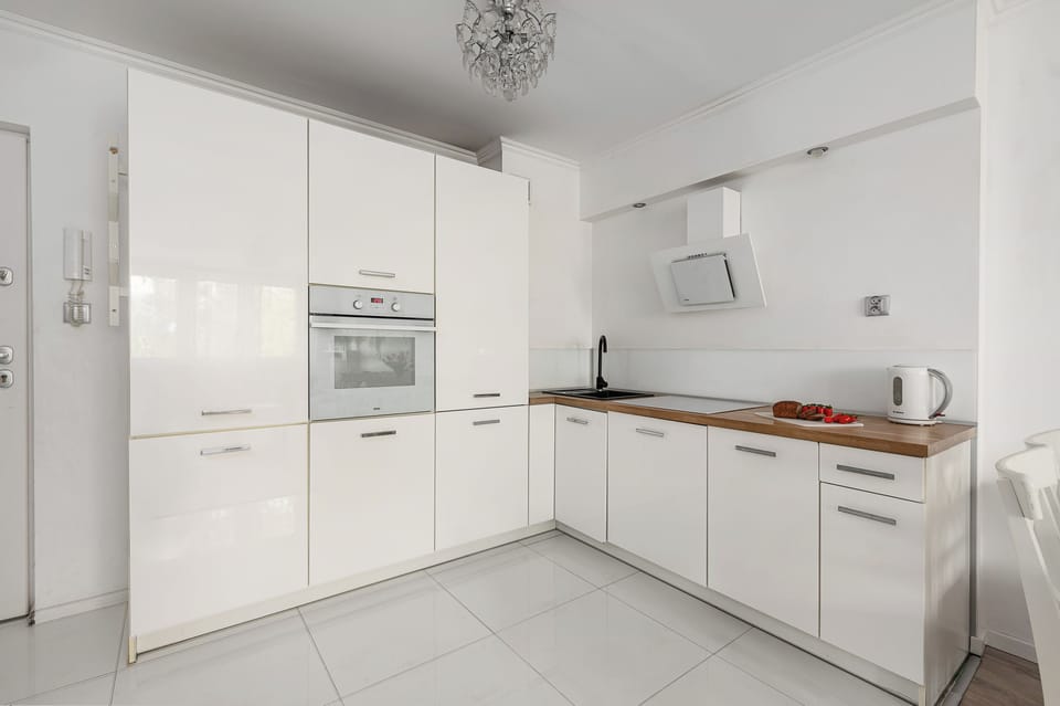 Fridge, stovetop, dishwasher, electric kettle
