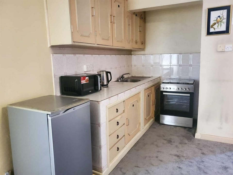 Basic Studio, Kitchenette | View from room