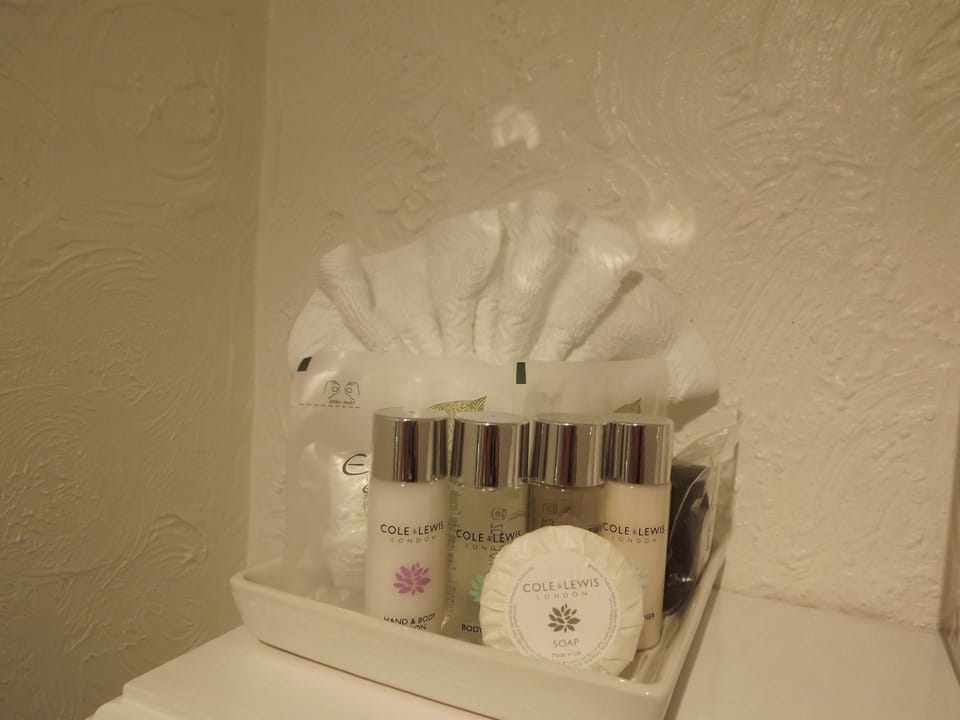 Standard Double Room | Bathroom amenities | Shower, free toiletries, hair dryer, bathrobes