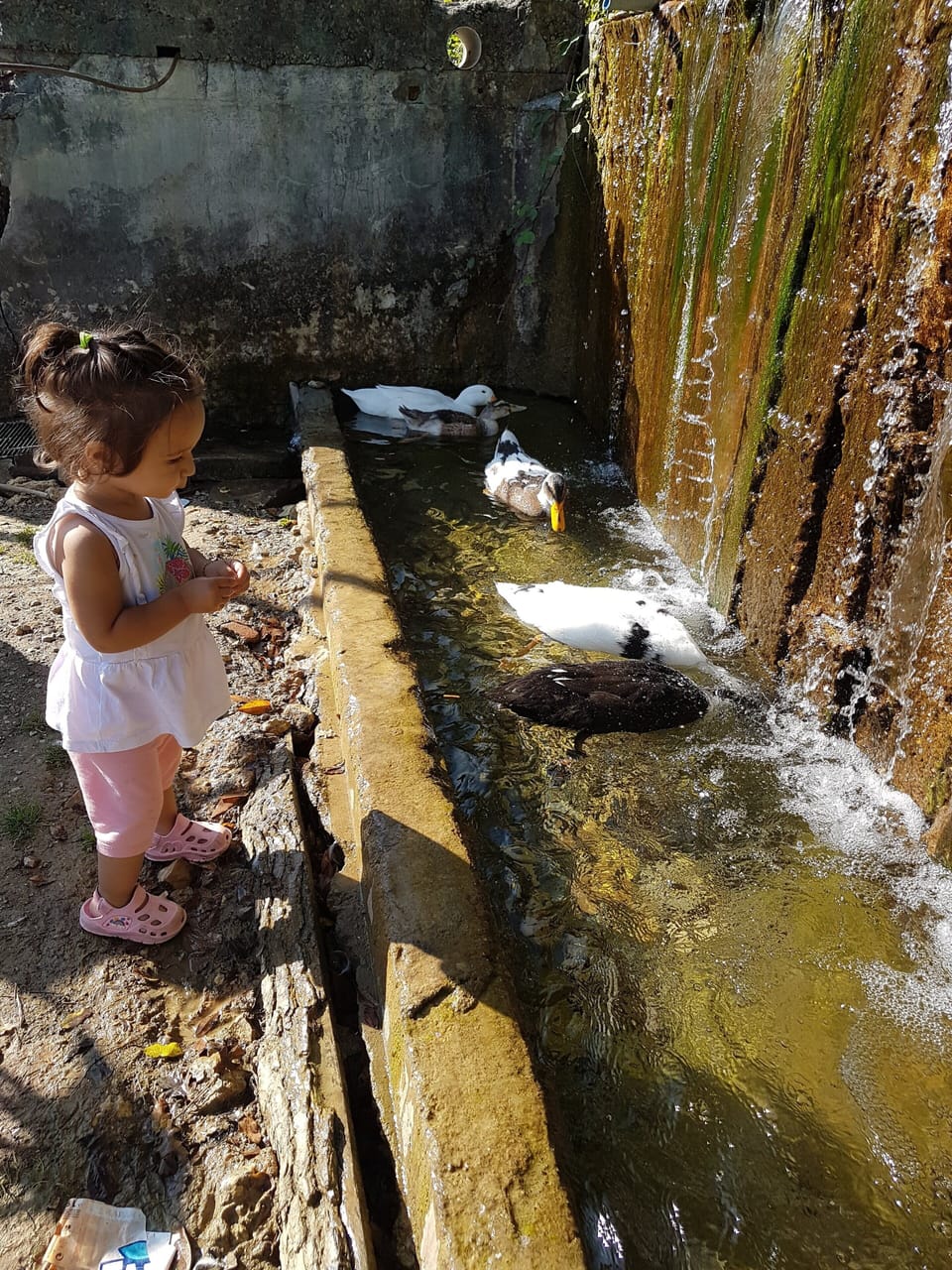 Children's activities