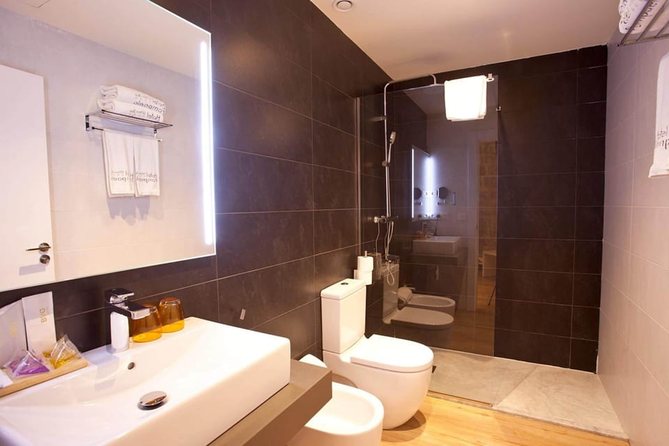 Shower, free toiletries, hair dryer, towels