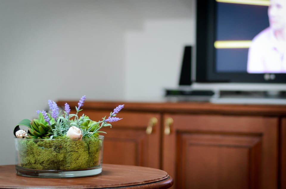 Apartment, 1 Bedroom, Balcony | Room amenity