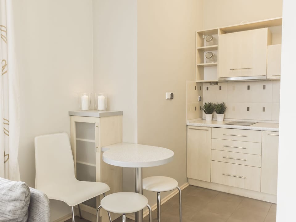 Trzy Korony Piastow Apartament 2 | Private kitchenette | Fridge, stovetop, electric kettle, cookware/dishes/utensils