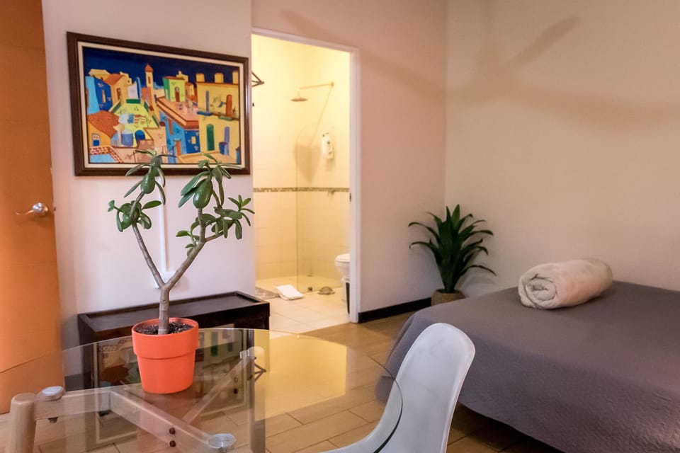 Queen Room with Garden View (Room 3) | Premium bedding, down comforters, individually decorated