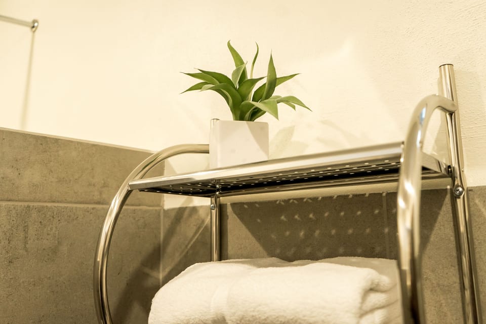 Queen Room with Garden View (Room 4) | Bathroom | Shower, free toiletries, hair dryer, towels