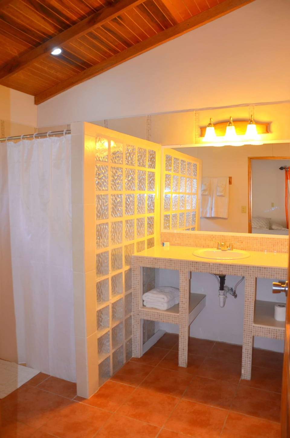 Deluxe Room | Bathroom | Shower, free toiletries, towels, shampoo