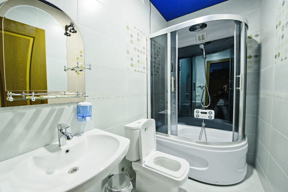 Basic Suite | Bathroom | Shower, free toiletries, hair dryer, slippers