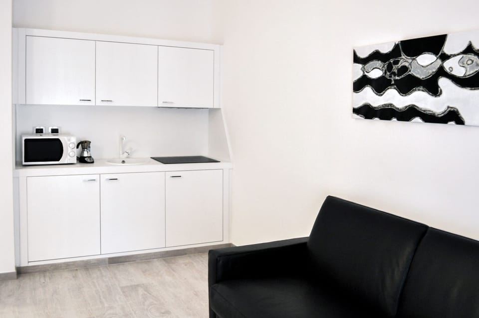 Classic Apartment | Private kitchen | Full-size fridge, microwave, stovetop, espresso maker