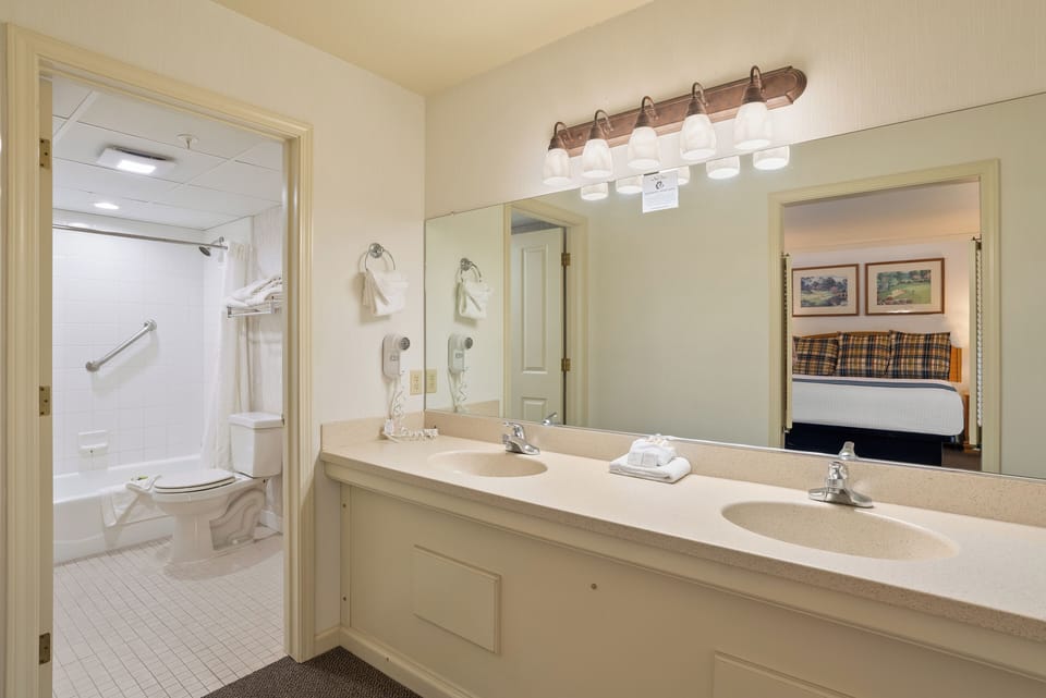 Combined shower/tub, free toiletries, hair dryer, towels