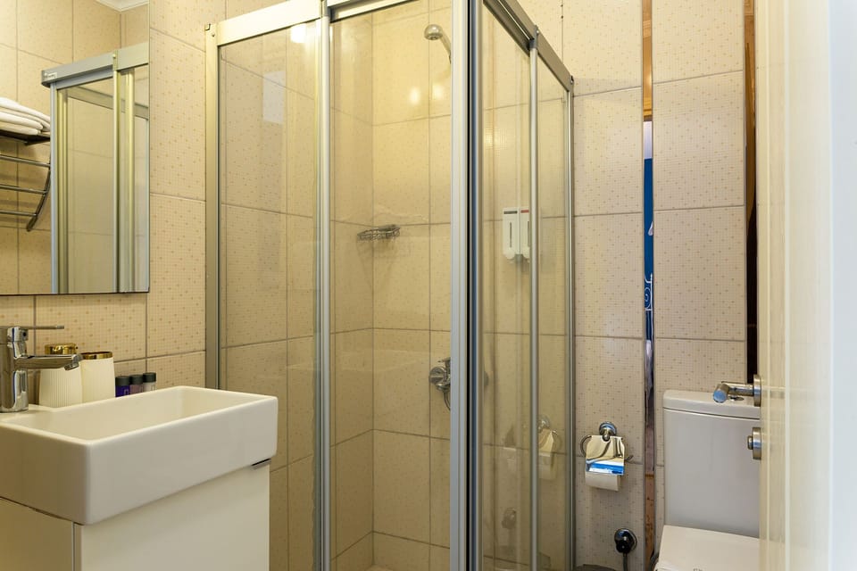 Superior Double Room | Bathroom | Shower, free toiletries, hair dryer, towels