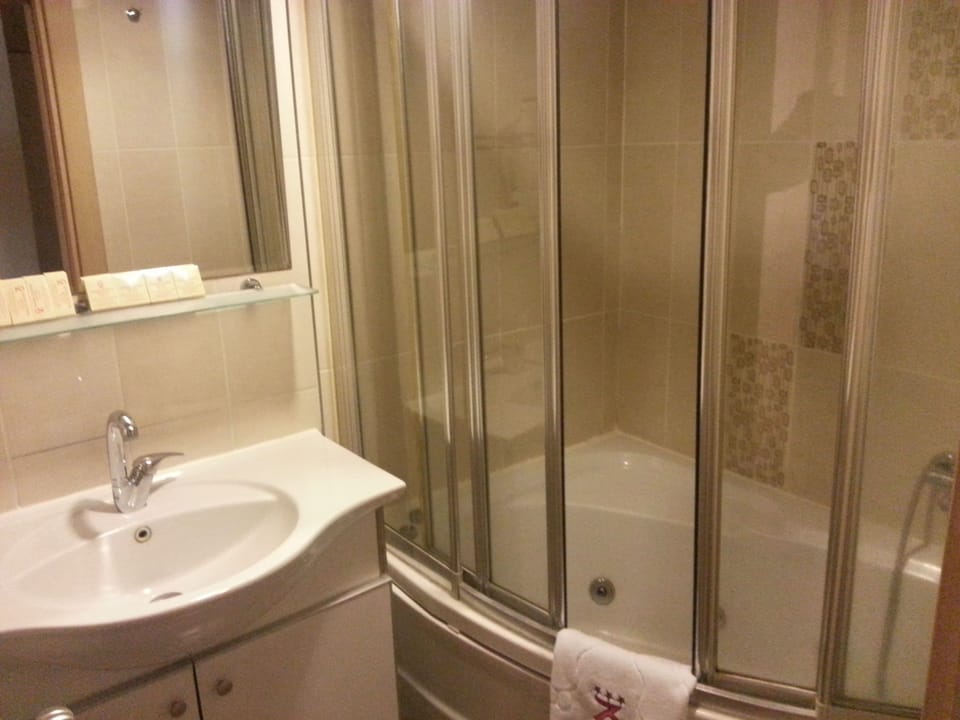 Standard Double or Twin Room | Bathroom | Free toiletries, hair dryer, slippers, towels
