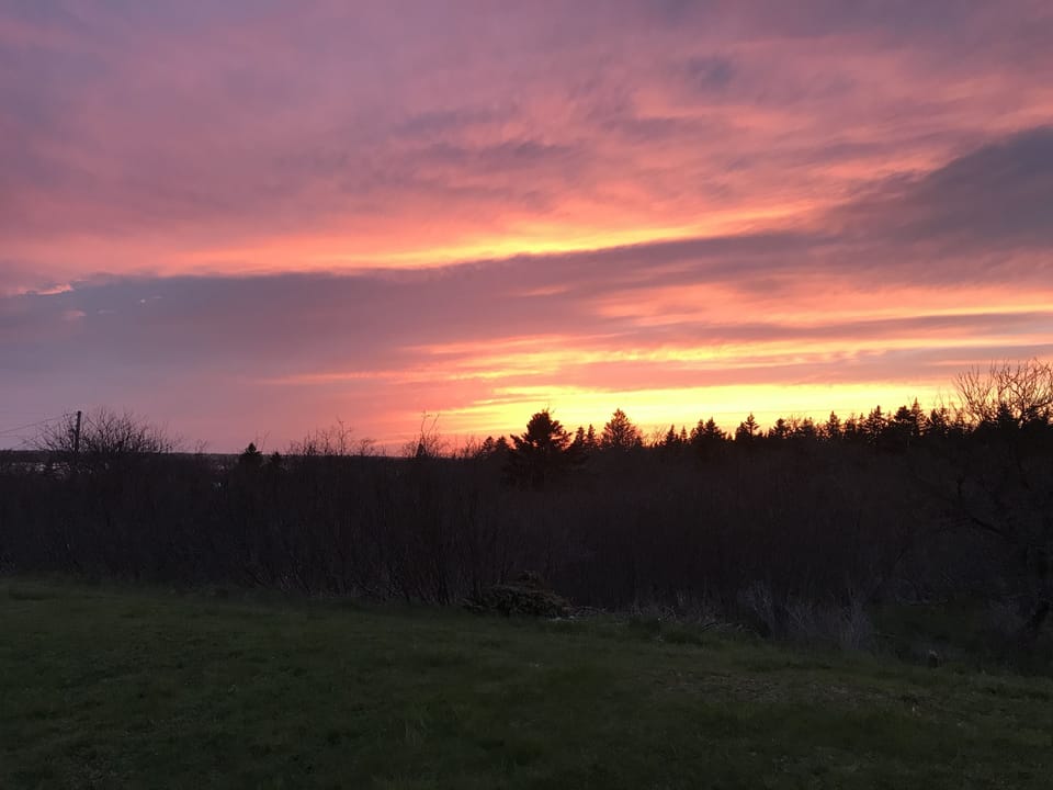 View from property