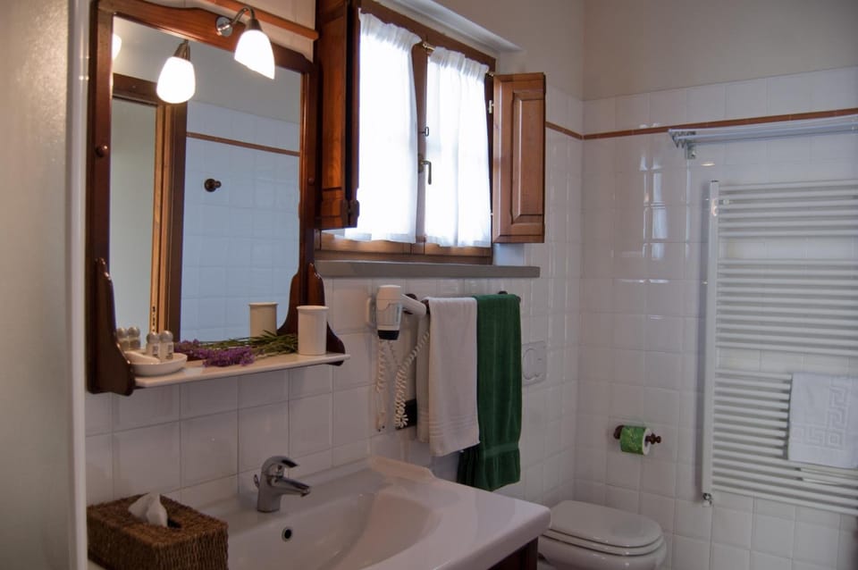 Shower, free toiletries, hair dryer, bathrobes