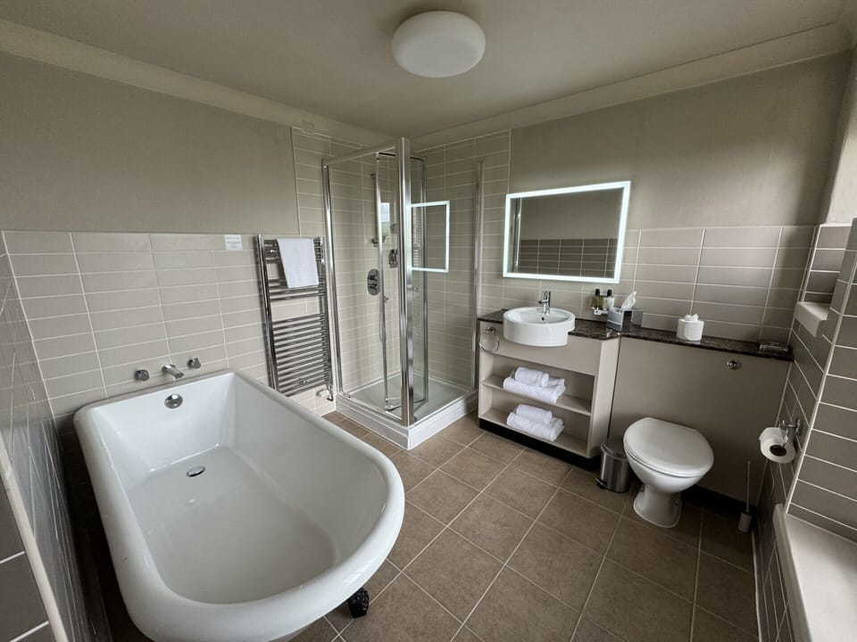Deluxe Double Room | Bathroom | Shower, free toiletries, hair dryer, towels
