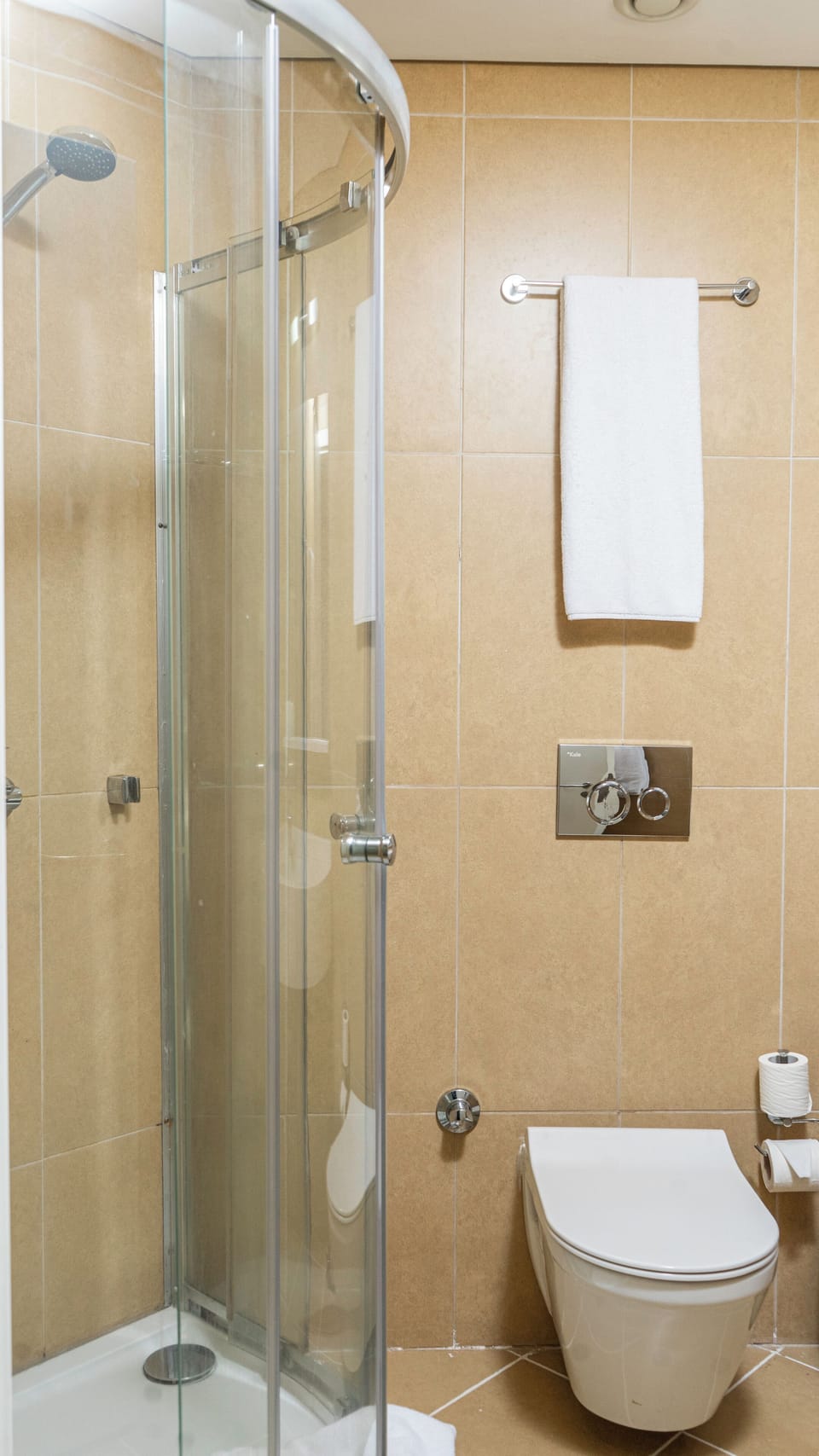 Towels, soap, shampoo, toilet paper