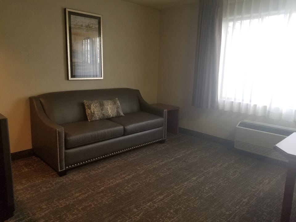 Junior Suite | Living area | 42-inch LCD TV with cable channels, pay movies
