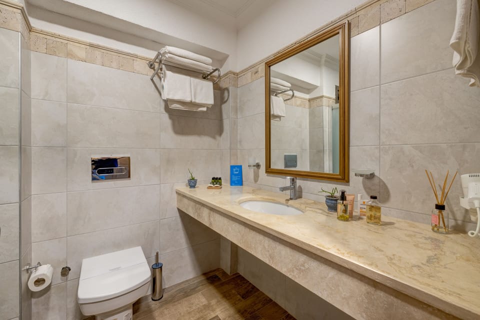 Shower, free toiletries, hair dryer, slippers