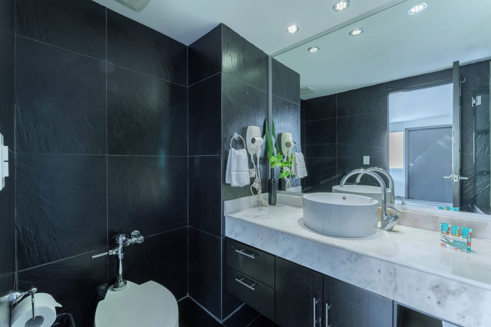 Standard Room | Bathroom | Shower, designer toiletries, hair dryer, towels