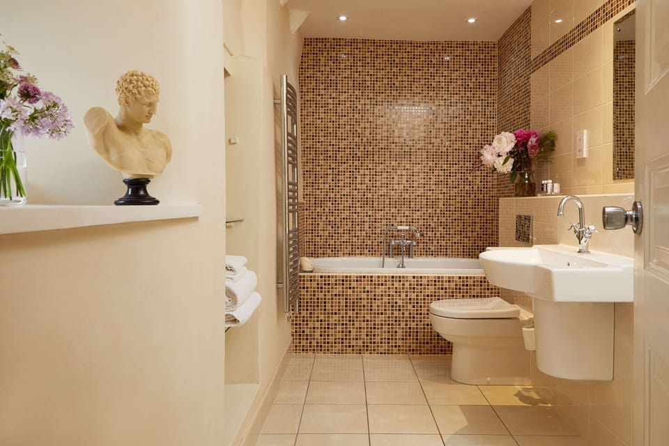 Combined shower/tub, free toiletries, hair dryer, towels