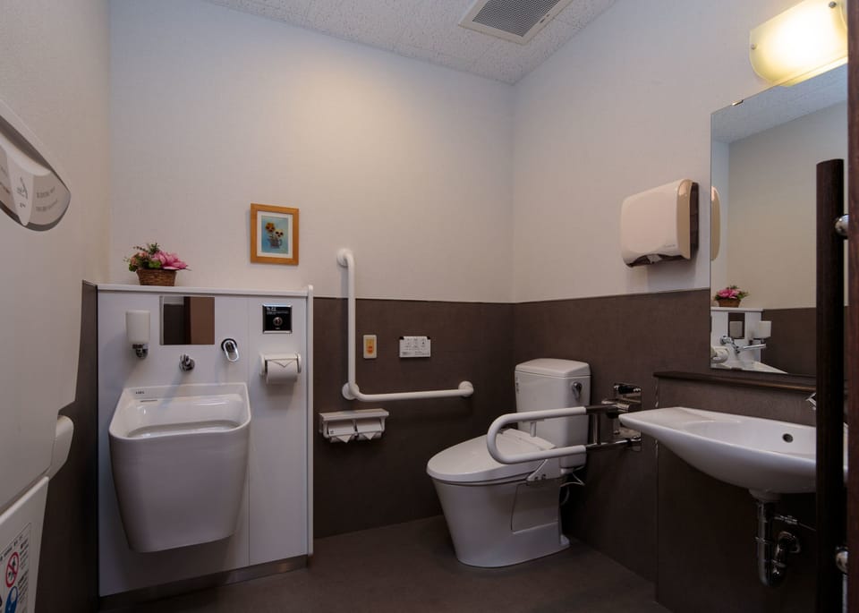 Combined shower/tub, free toiletries, hair dryer, slippers