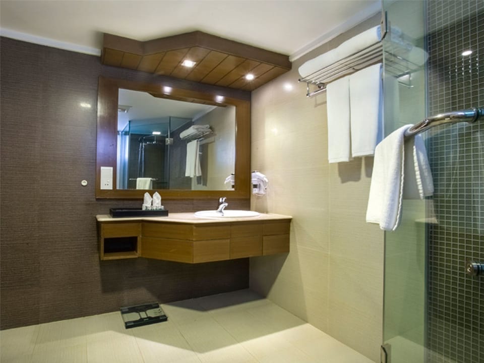 Shower, free toiletries, hair dryer, bathrobes