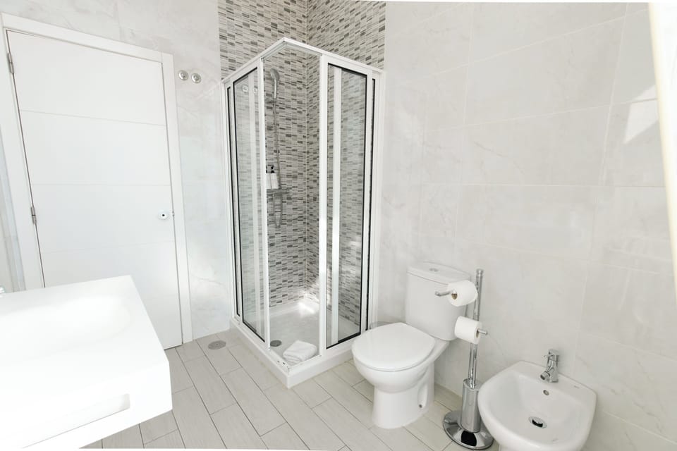 Hair dryer, bidet, towels, soap