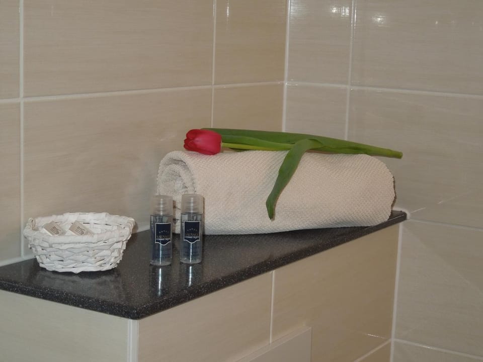 Shower, free toiletries, hair dryer, towels