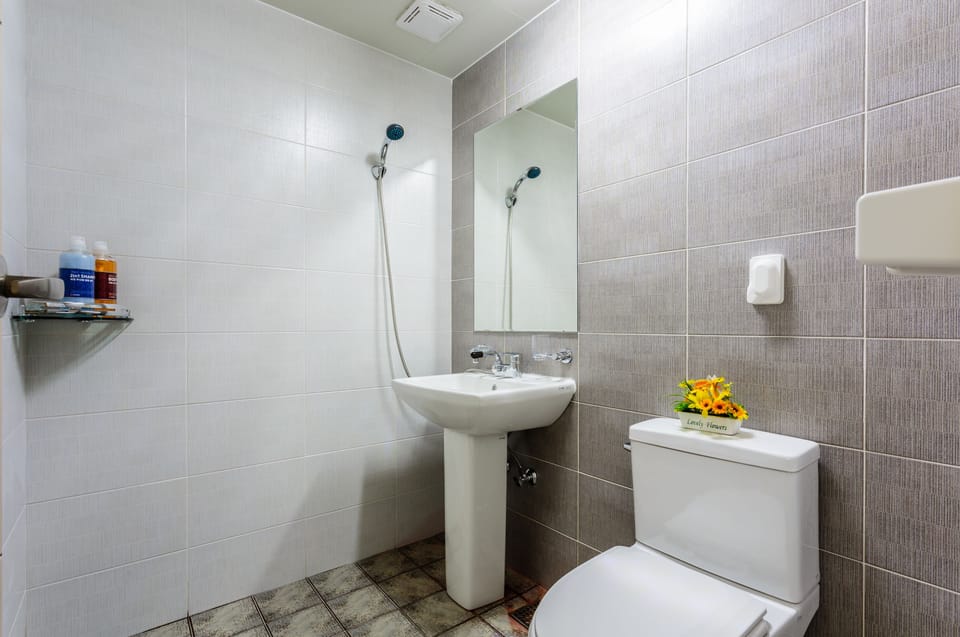 Shower, free toiletries, hair dryer, towels