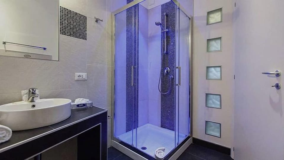 Deluxe Double Room | Bathroom | Shower, free toiletries, hair dryer, towels