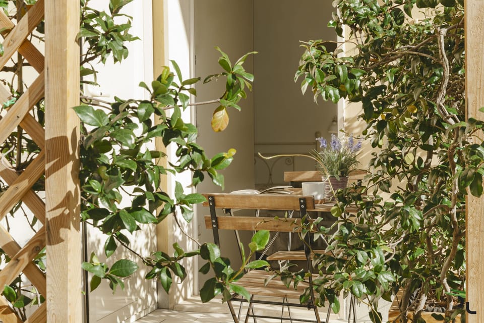Double Room, Patio | Terrace/patio