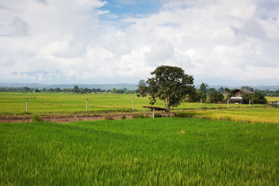 Land view from property