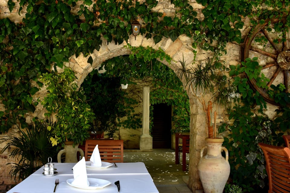 Mediterranean cuisine