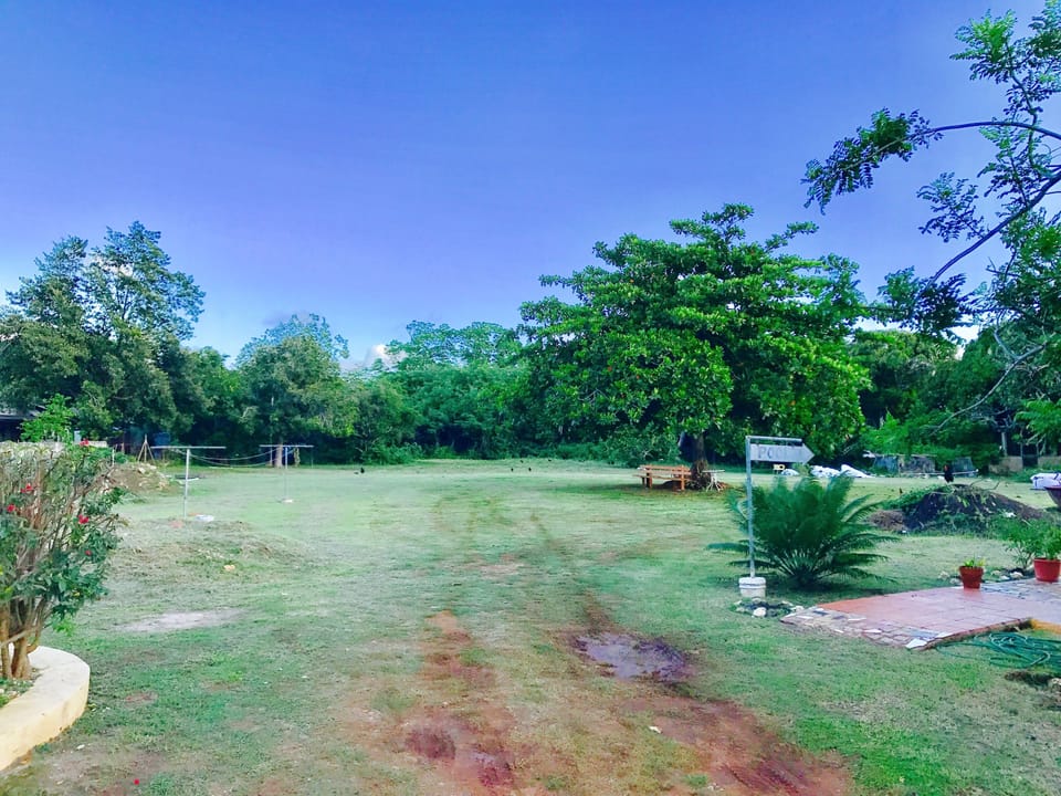 Property grounds