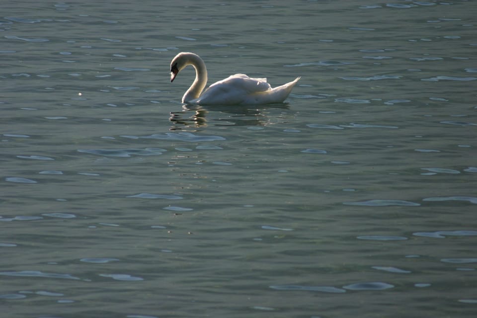 Boating