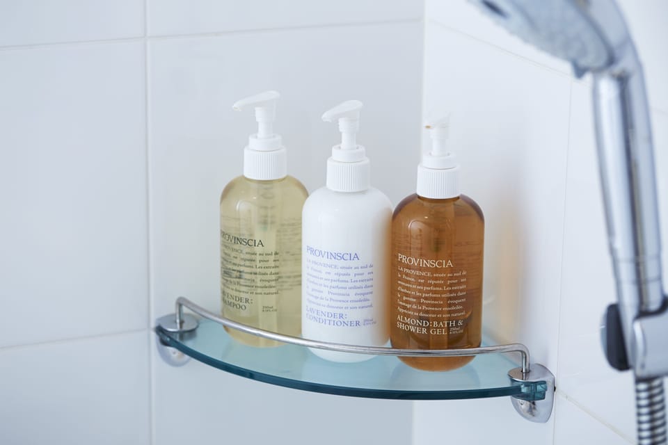 Free toiletries, hair dryer, slippers, bidet