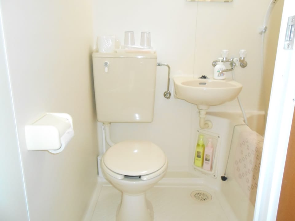 Combined shower/tub, free toiletries, hair dryer, slippers