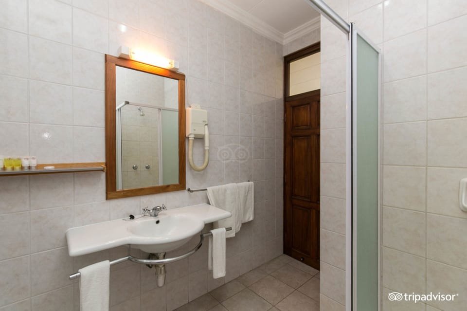 Double Room | Bathroom | Shower, free toiletries, towels